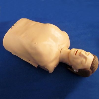 Treinamento de RCP de Busto Eletrônico Maniquínio Demonstração de Cuidados aos Pacientes com PVC Avançado