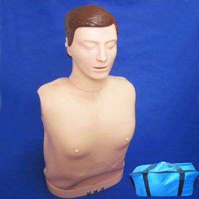 Treinamento de RCP de Busto Eletrônico Maniquínio Demonstração de Cuidados aos Pacientes com PVC Avançado