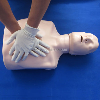 Manikinha de Resuscitação Cerebral do Meio-Corpo A adição perfeita às suas habilidades de ensino de emergência