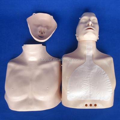 Manikinha de Resuscitação Cerebral do Meio-Corpo A adição perfeita às suas habilidades de ensino de emergência