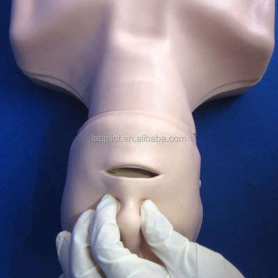 Manikinha de Resuscitação Cerebral do Meio-Corpo A adição perfeita às suas habilidades de ensino de emergência