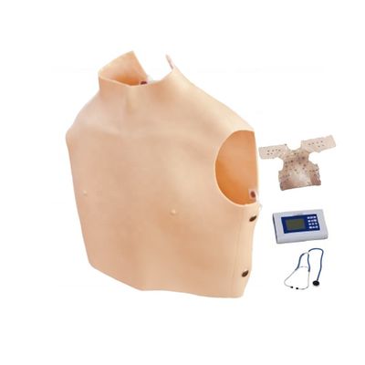 Tamanho da vida humana Ferramenta de ciência médica Modelo de auscultation cardiopulmonar para ensino