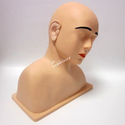 Modelo de Orelha Viva de Tamanho Humano A Última Ferramenta para o Simulador de Treinamento de Irrigação de Orelhas