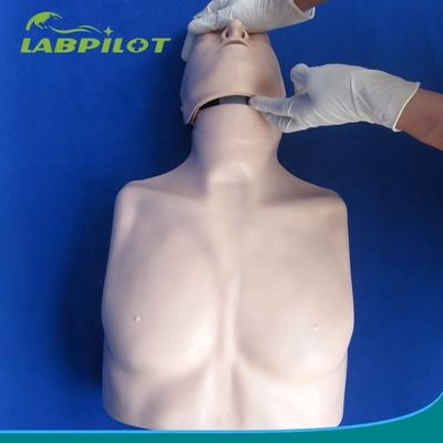 Simples Tipo de Primeiros Socorros Meio-Corpo CPR Treinamento manequim para a Escola Facilidade de Treinamento