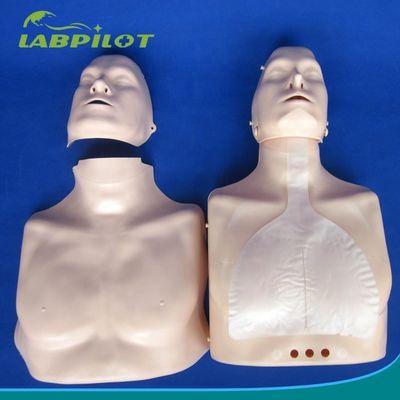 Simples Tipo de Primeiros Socorros Meio-Corpo CPR Treinamento manequim para a Escola Facilidade de Treinamento