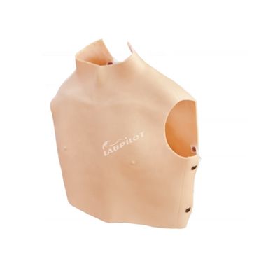 Demonstração de cuidados com pacientes Simulador de auscultation cardiopulmonar com PVC avançado