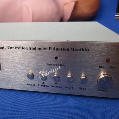 Simulador de palpação abdominal para educação em enfermagem e simulação humana realista
