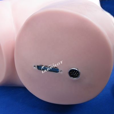Simulador de palpação abdominal para educação em enfermagem e simulação humana realista