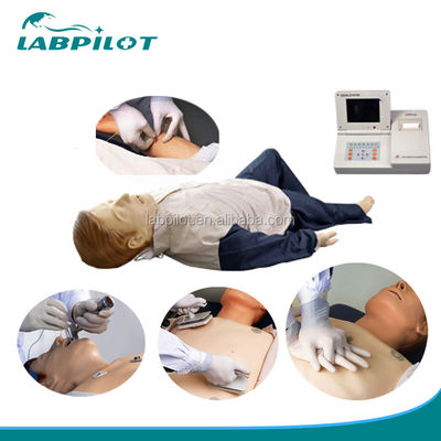 Sistema de Gestão de vias aéreas ACLS Primeiros Socorros Treinamento de habilidades Maniquim Dummy Treinador Treinador