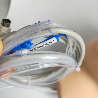 Modelo Vivido de Hemorragia Nasal da Cabeça e Pescoço para Demonstração de Cuidados aos Pacientes