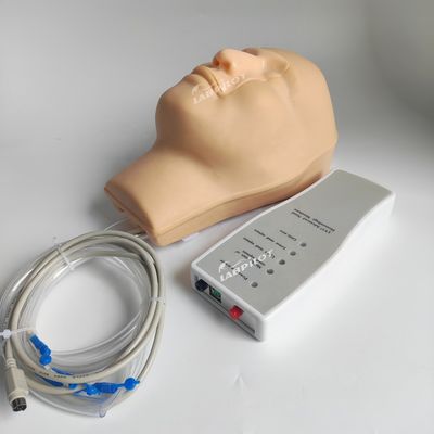 Modelo Vivido de Hemorragia Nasal da Cabeça e Pescoço para Demonstração de Cuidados aos Pacientes