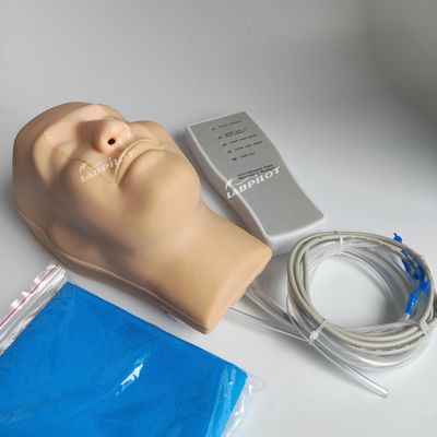 Modelo Vivido de Hemorragia Nasal da Cabeça e Pescoço para Demonstração de Cuidados aos Pacientes