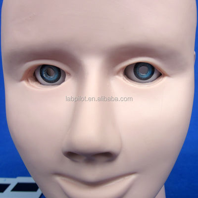Manikin para o Exame Avançado do Olho Humano de Treinamento Simulador Retinopatia Fundus Modelo