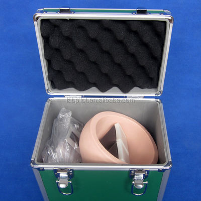 Manikin para o Exame Avançado do Olho Humano de Treinamento Simulador Retinopatia Fundus Modelo