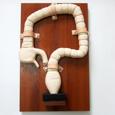 Modelo de anatomia do reto e do cólon PVC avançado Simulador de endoscopia intestinal de tamanho humano
