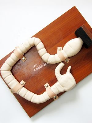 Treinamento Sigmoidoscópio Humano com Vivid Large Intestine Model e Life Size Simulator