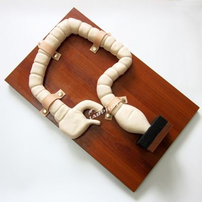 Modelo de anatomia do reto e do cólon PVC avançado Simulador de endoscopia intestinal de tamanho humano