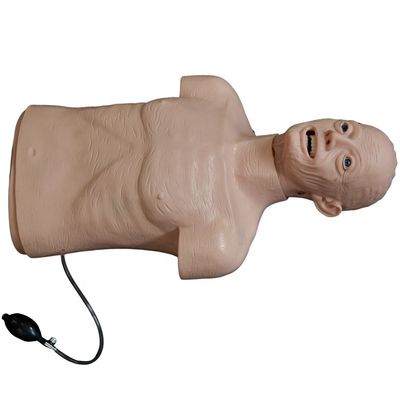 Manikin de PVC avançado A melhor escolha para o treinamento de ressuscitação e intubação de idosos