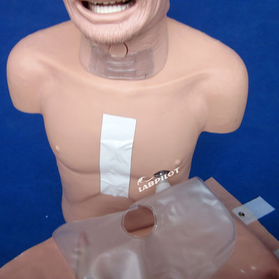 Manikin de PVC avançado A melhor escolha para o treinamento de ressuscitação e intubação de idosos