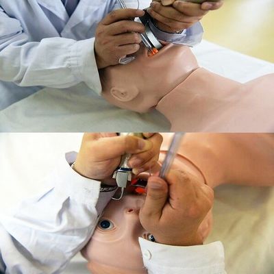 Manikin de PVC avançado A melhor escolha para o treinamento de ressuscitação e intubação de idosos