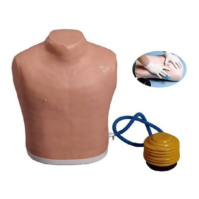 Ciências Médicas Manikin de tubo de peito para tensão Pneumotórax Modelo de treinamento de descompressão
