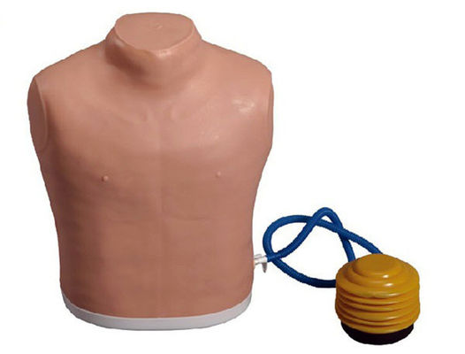 Ciências Médicas Manikin de tubo de peito para tensão Pneumotórax Modelo de treinamento de descompressão
