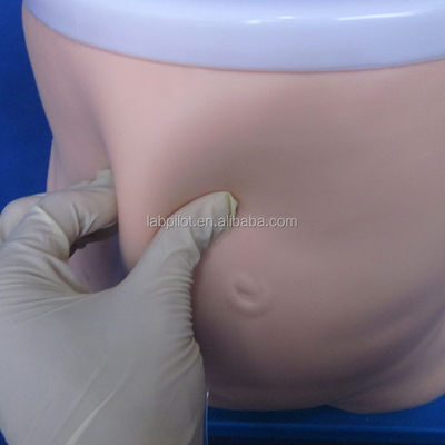 Modelo de ensino de diálise peritoneal Instrumento de formação e desempenho em enfermagem clínica