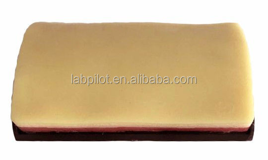Tamanho da Vida Humana Prática de Sutura Cirúrgica Simulação da Pele Kit de Ensino de Incisão de Corte