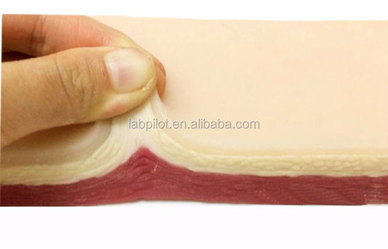 Tamanho da Vida Humana Prática de Sutura Cirúrgica Simulação da Pele Kit de Ensino de Incisão de Corte