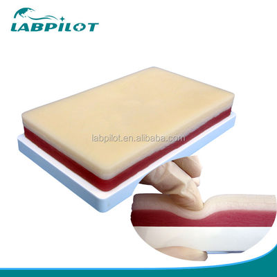 Modelo de prática avançado de sutura muscular e cutânea cirúrgica para ensinar habilidades clínicas