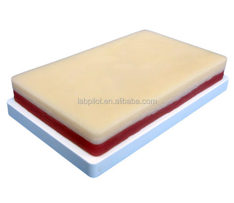 Modelo de prática avançado de sutura muscular e cutânea cirúrgica para ensinar habilidades clínicas