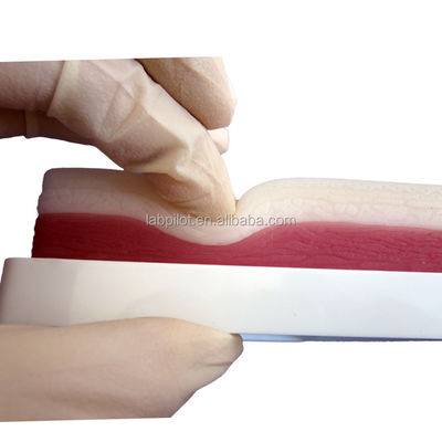 Modelo de prática avançado de sutura muscular e cutânea cirúrgica para ensinar habilidades clínicas