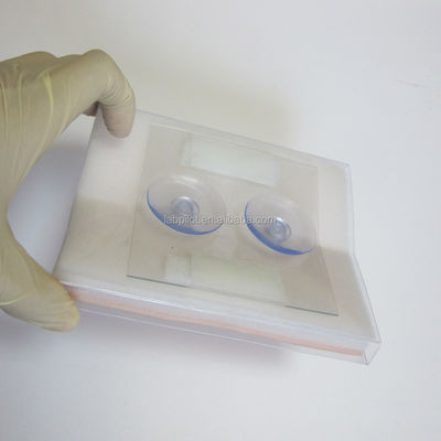 Ferramenta de Treinamento Médico Modulo de Sutura de Pele Simulado para Incisões Musculares Cirúrgicas