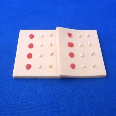 Leções de doenças patológicas da pele vívidas Modelo para ensino médico Pad de sutura