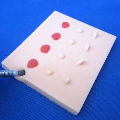Leções de doenças patológicas da pele vívidas Modelo para ensino médico Pad de sutura