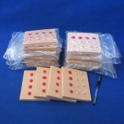 Leções de doenças patológicas da pele vívidas Modelo para ensino médico Pad de sutura