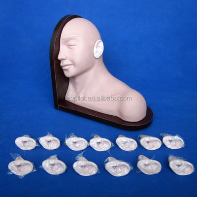 Educação Médica Modelo de Exame de Ouvido Simulação Humana Realista com 14-pc Set