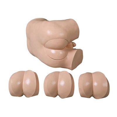 Modelo de habilidades clínicas para exame de toque retal