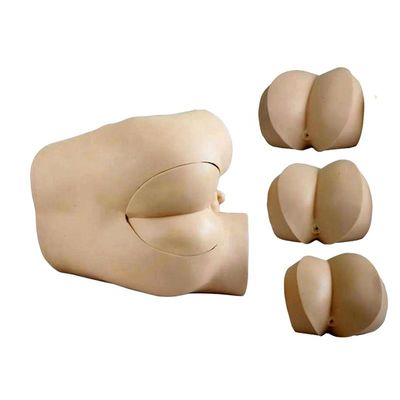 Modelo de habilidades clínicas para exame de toque retal