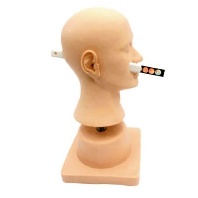 Instrumento de demonstração de diagnóstico de ouvido de plástico de PVC avançado para otolaringologia