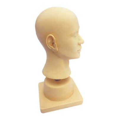 Instrumento de demonstração de diagnóstico de ouvido de plástico de PVC avançado para otolaringologia