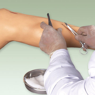 Modelo de Formação em Cirurgia Médica Modelo de perna viva para demonstração de instrumentos cirúrgicos