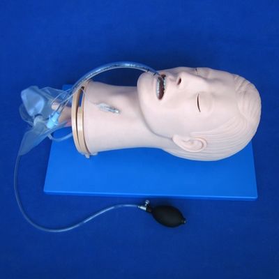Modelo de treinamento de intubação endotraqueal multifuncional para gestão das vias aéreas