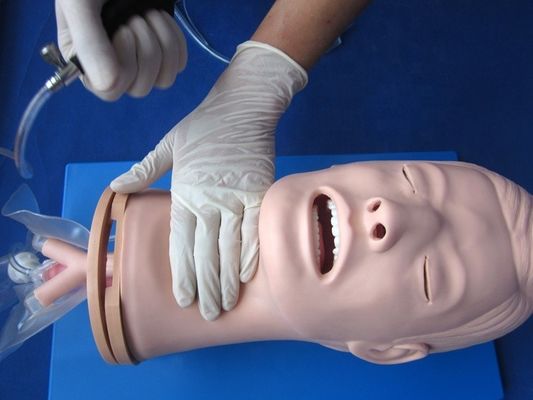 Modelo de treinamento de intubação endotraqueal multifuncional para gestão das vias aéreas