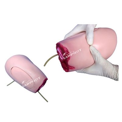 Modelo avançado de PVC A solução ideal para a enfermagem de amputação de coxas e membros inferiores