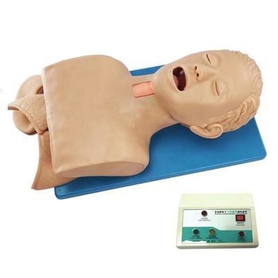 Simulador humano multiuso para gestão das vias aéreas e punção cricoide nos hospitais