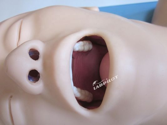 Treinamento de intubação endotraqueal manequim modelo de tamanho humano para airbag de ressuscitação