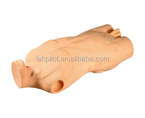 Modelo avançado de corpo de PVC para desenvolvimento de habilidades de injeção venosa central e perfuração