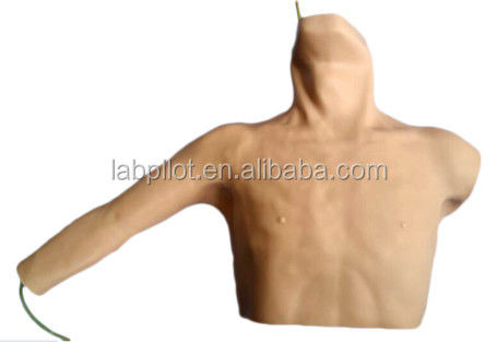 Simulador avançado de PICC e modelo de ensino de punção venosa periférica para tamanho humano