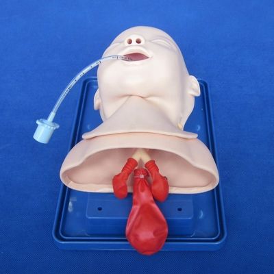 Manikin Pediátrico Econômico para Modelo de Cabeça Viva do Bebê e Treinamento de Intubation Infantil